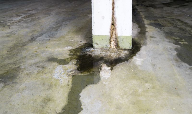 Leaking Foundation Repair in Tavares, FL